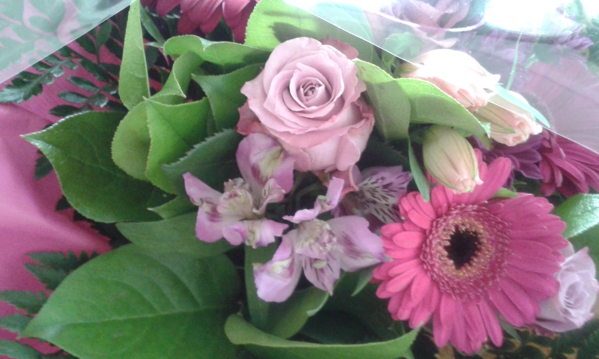 La Direction et toutes les équipes du Centre Hospitalier de Sainte Foy souhaitent une très bonne fête à toutes les mamans...