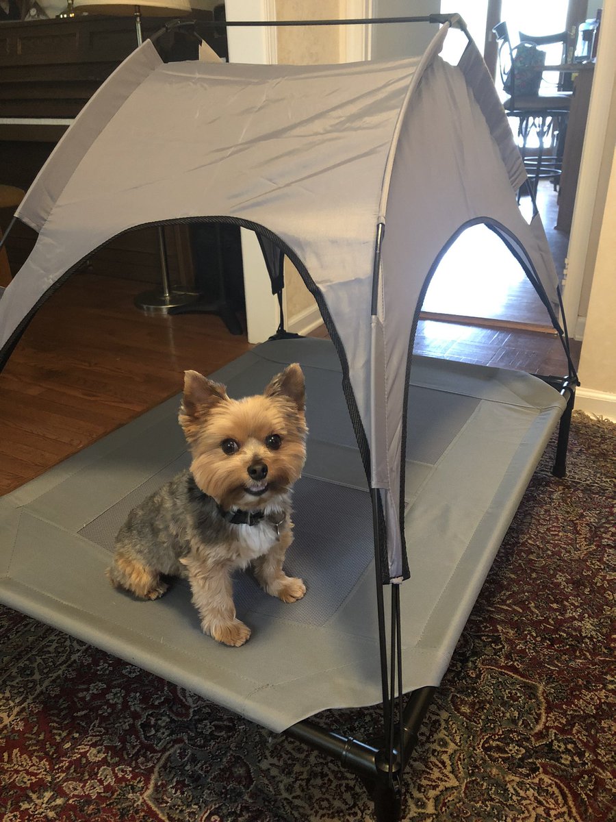 LacrosseBailey's tweet photo. It’s getting hot so grandma bought me this to keep me out of the sun and off the hot patio (even though the patio is covered). #spoiled https://t.co/YMHxz1KXZZ