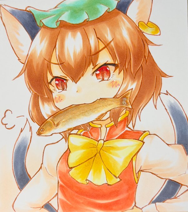 橙ちゃん🐈🐟 