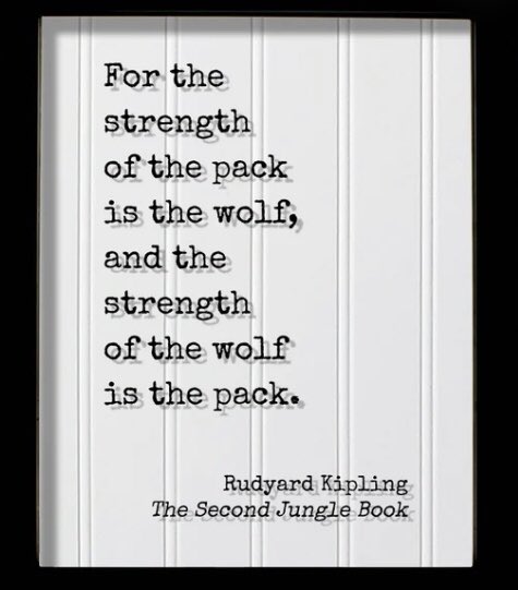 De Soto Softball tweet media