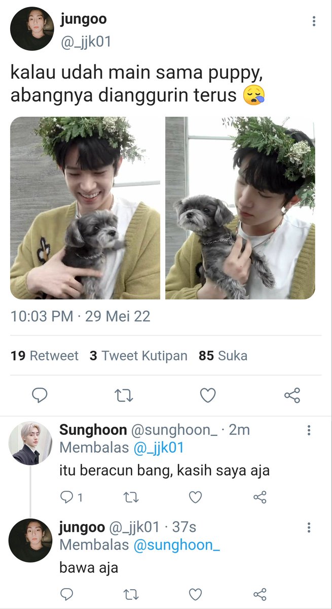 aracelyhee's tweet photo. hoonseung few tweets au ft. jungoo as hs's brother | older!h00n

— playing with puppy

hiseng yang baru saja mendapatkan puppy 
merasa kesal karena abangnya mau kasih puppy itu ke orang lain.

for #weekendwithmbul https://t.co/FHZ6DZGkKz