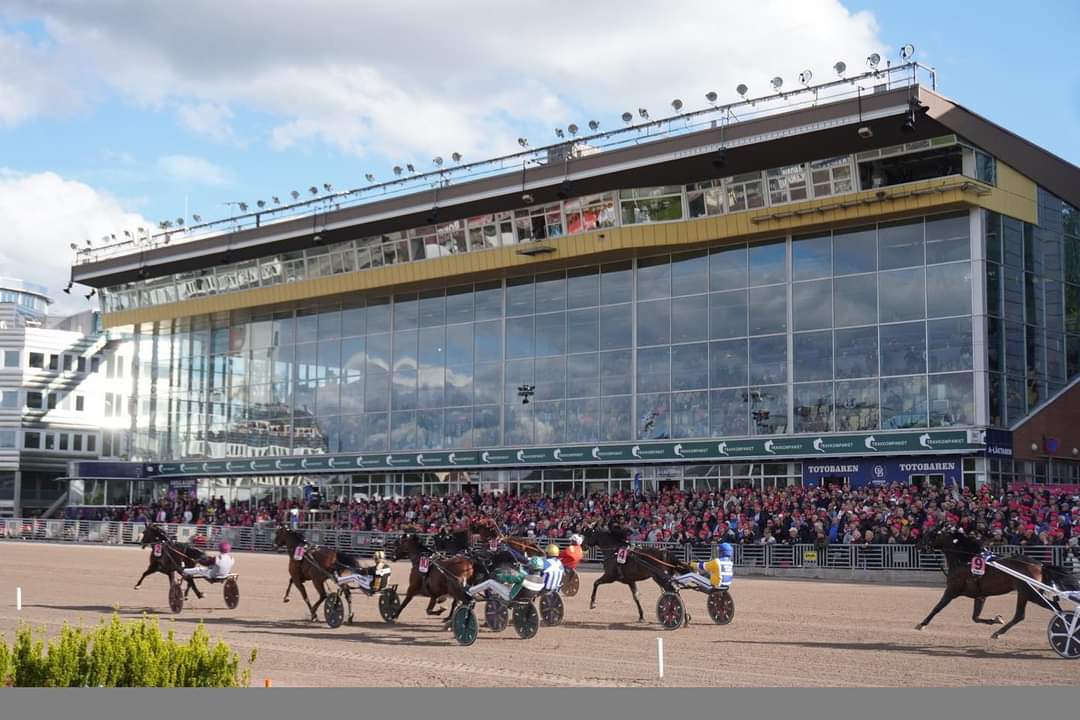 Joe_Zagari's tweet photo. #Callmethebreeze 🇮🇹 #Trixton won #ElithingstenMaharajah 2022 🏆 Sulky - Group 2️⃣ - 1640 - 4+ years old - International Race - Sek 940.000 - @Solvalla 🏟️🇸🇪 with #AndreaGuzzinati & #PhilippeAllaire ⏱️1.10.2 on 1640 over #InvictusMadiba and #DevilsTongue
#elitloppet22 #elitloppet https://t.co/X3RkcDNtrW