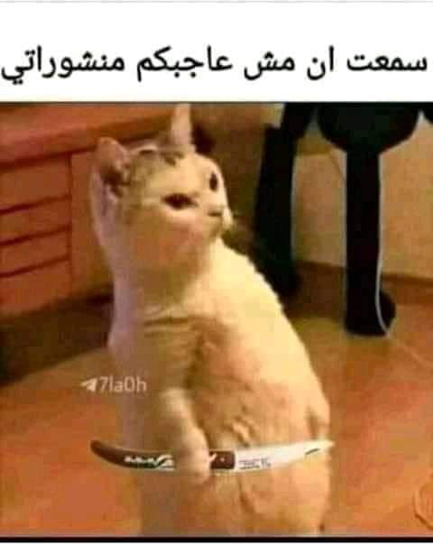 ALM_R_A's tweet photo. 😂😂😂😂😂 https://t.co/py5aUmOUwB