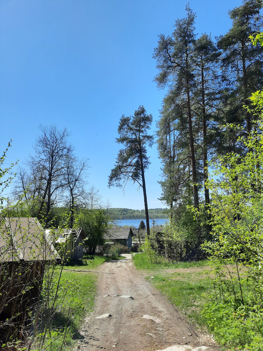 maria2015new's tweet photo. О жизни в маленьком городе и ее прелестях https://t.co/0hI8dVqisu https://t.co/6GRXTuViZJ