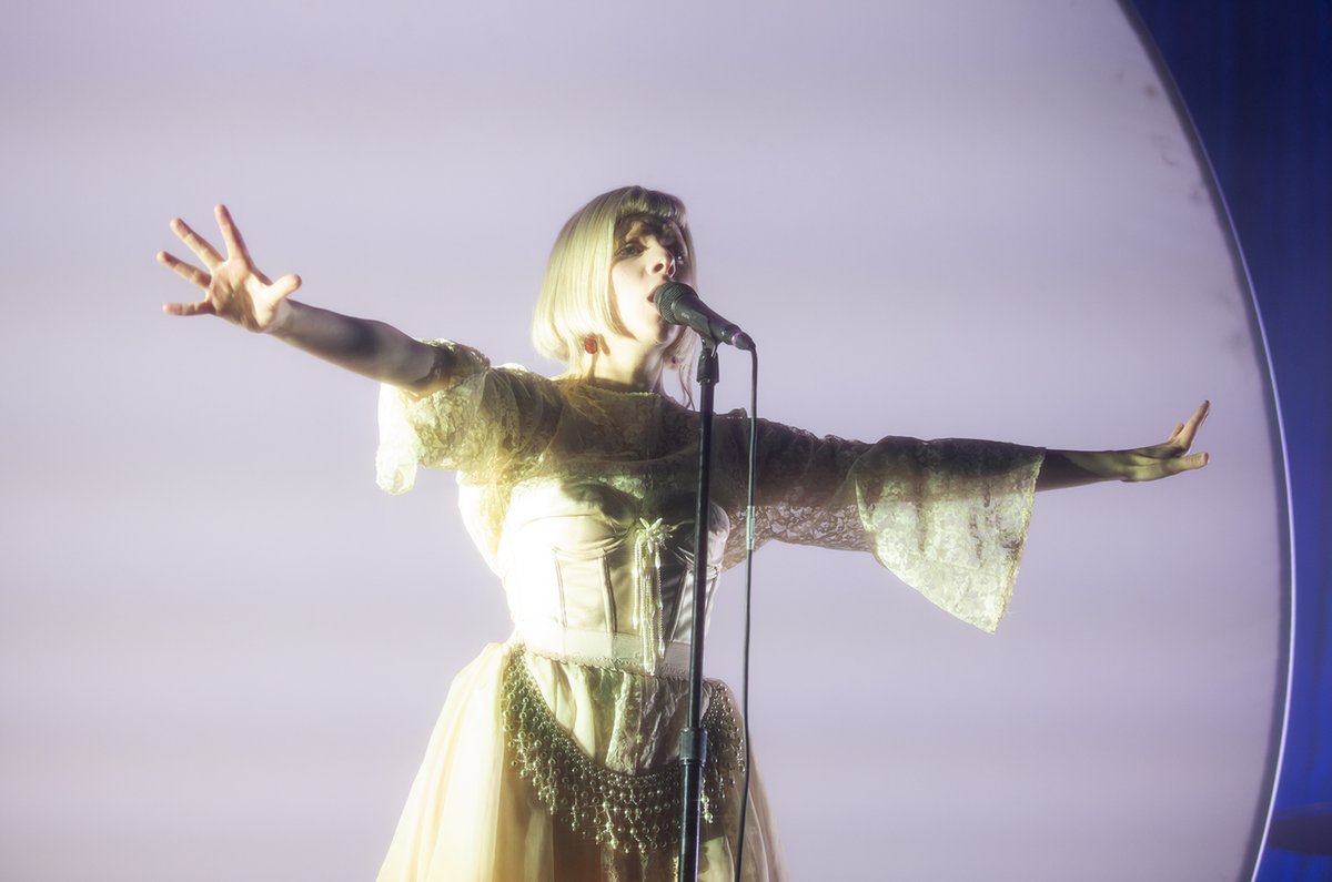 GIG GOER tweet media