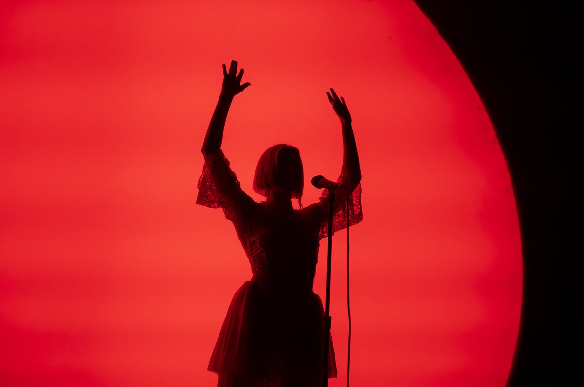 GIG GOER tweet media