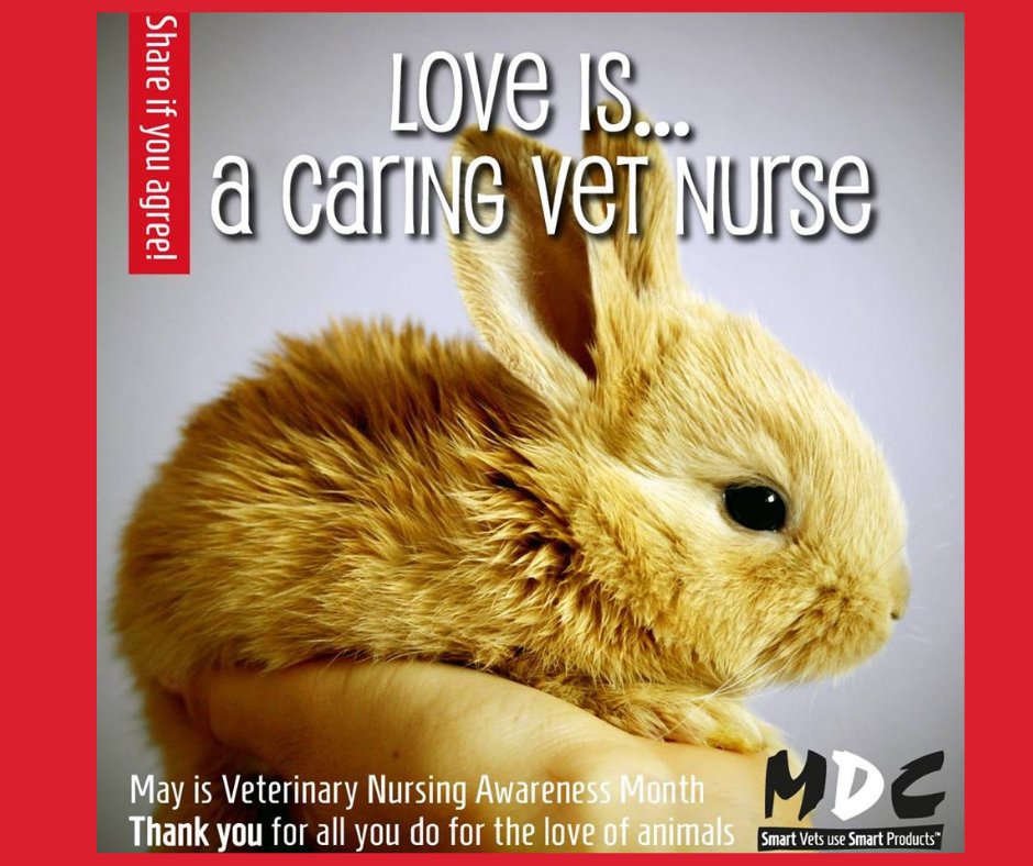 Veterinary Nurses are often the unsung heroes of many a successful Veterinary Practice. 
All at MDC thank you and want you to know we REALLY appreciate all that you do. #OurProfessionMyResilience #VNAM #BVNA