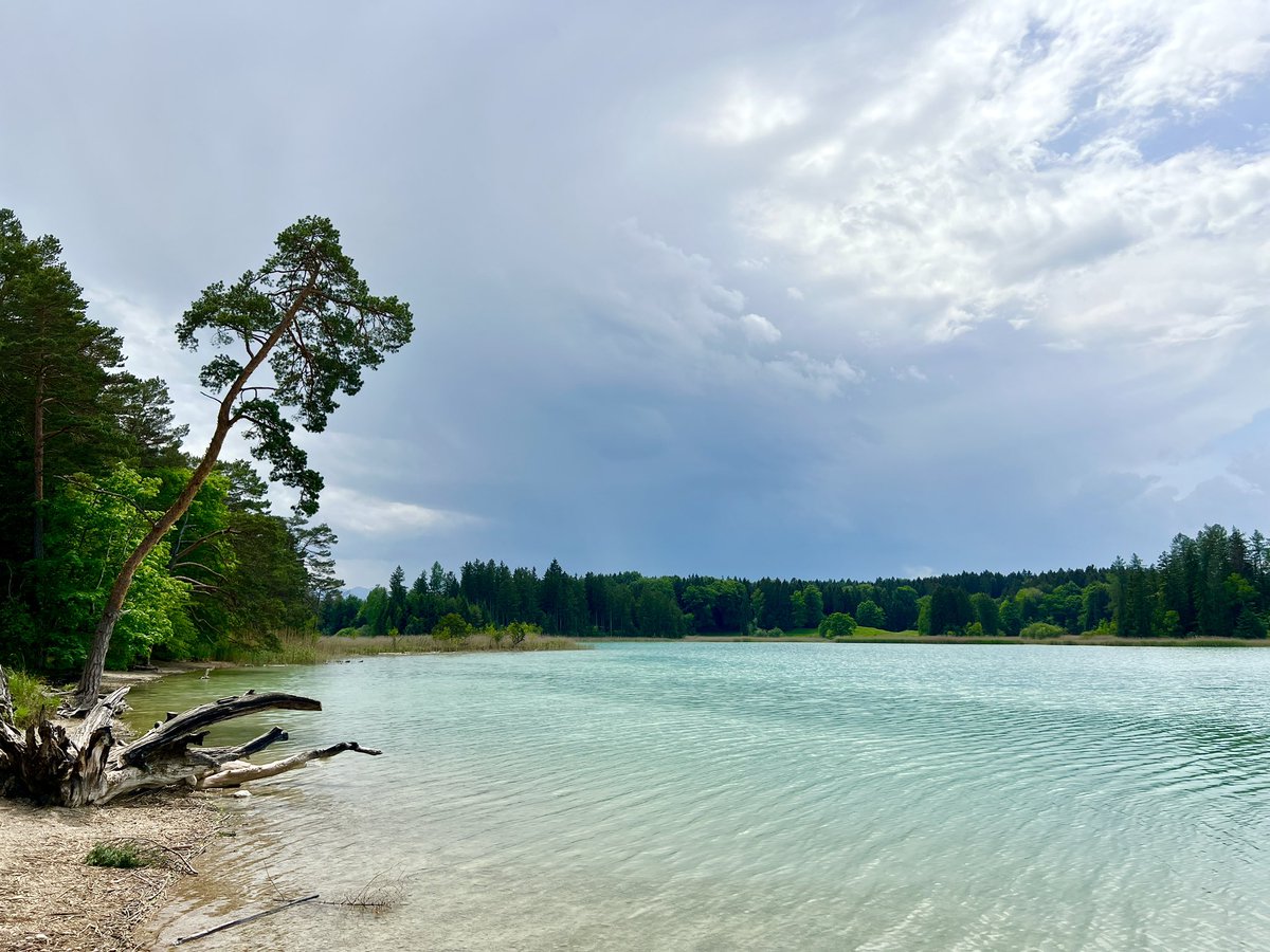 OmatStefan's tweet photo. Die Osterseen bei aufziehendem Gewitter.
Link zur Radltour: https://t.co/x0brnj2nZ4
#komoot #osterseen #fahrradtour #fahrrad #bayern https://t.co/Ua84ucMoGU