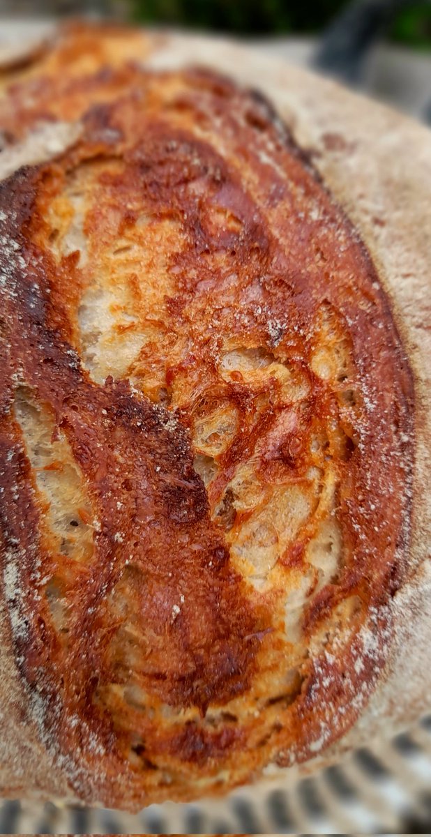 #shareyourloaves fresh out the oven Cheese and Marmite sourdough #microbakery #Brough #Cumbria #scratchandsniff #cheese #marmite #sourdough #realbread #bread #flavourcombination