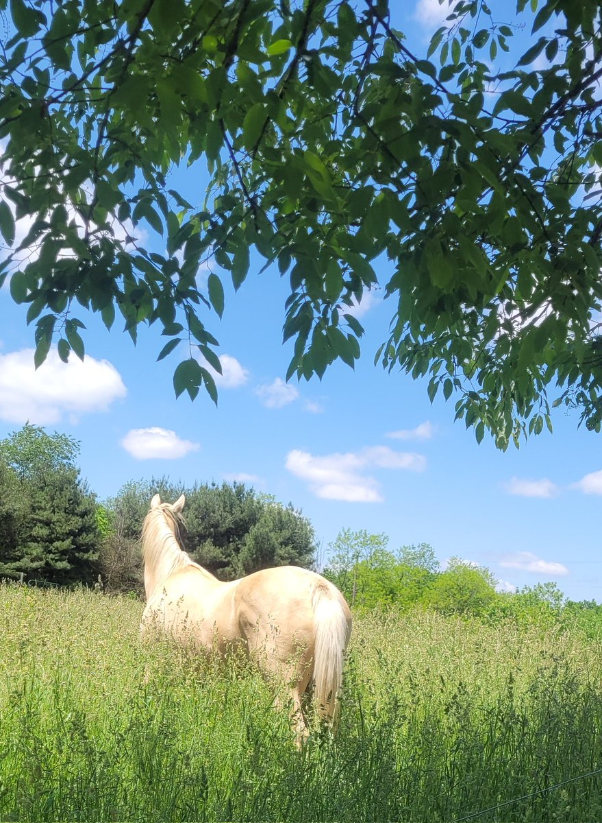 Beautiful colors today.  Sage.