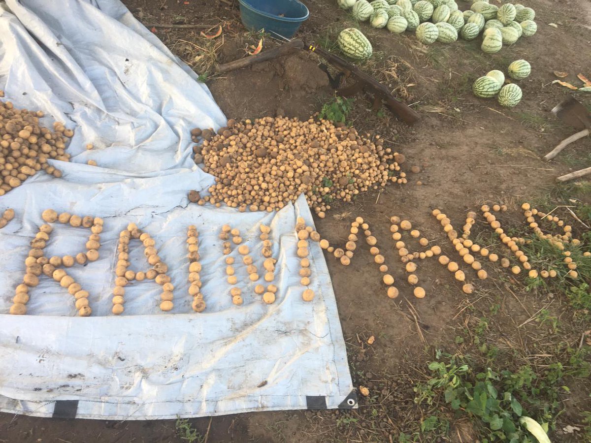 Rainmaker Enterprise tweet media