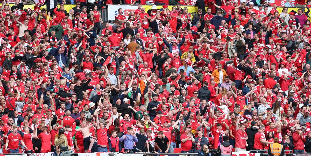 We've done it! Forest are in the Premier League!