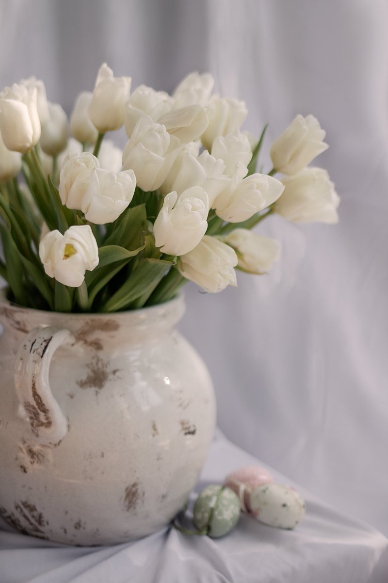 leaf_magnolia's tweet photo. Fifty stems of beautiful soft and delicate pure white tulips #tulips #spring #mlfloral #hertfordshireflorist #floralgift https://t.co/5he1yZhe5G