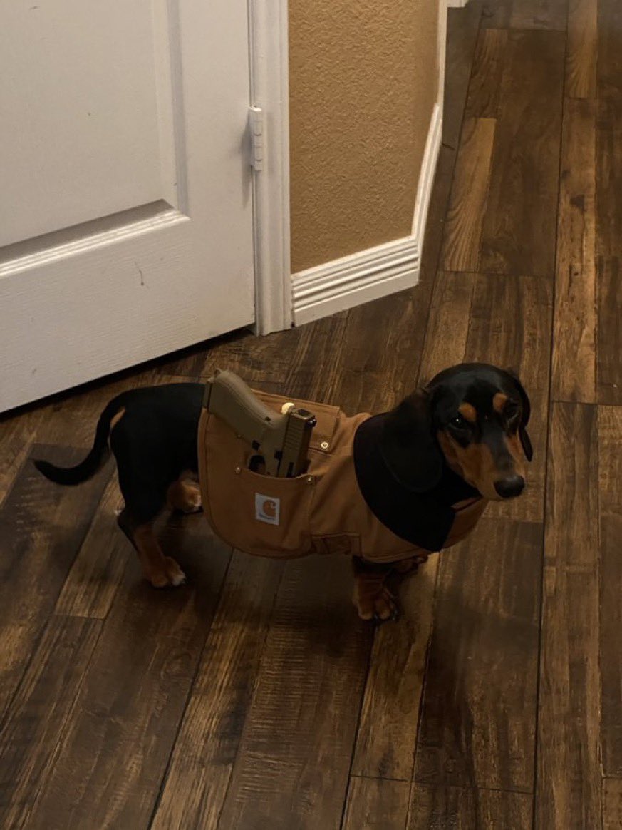 FLACKO444's tweet image. 