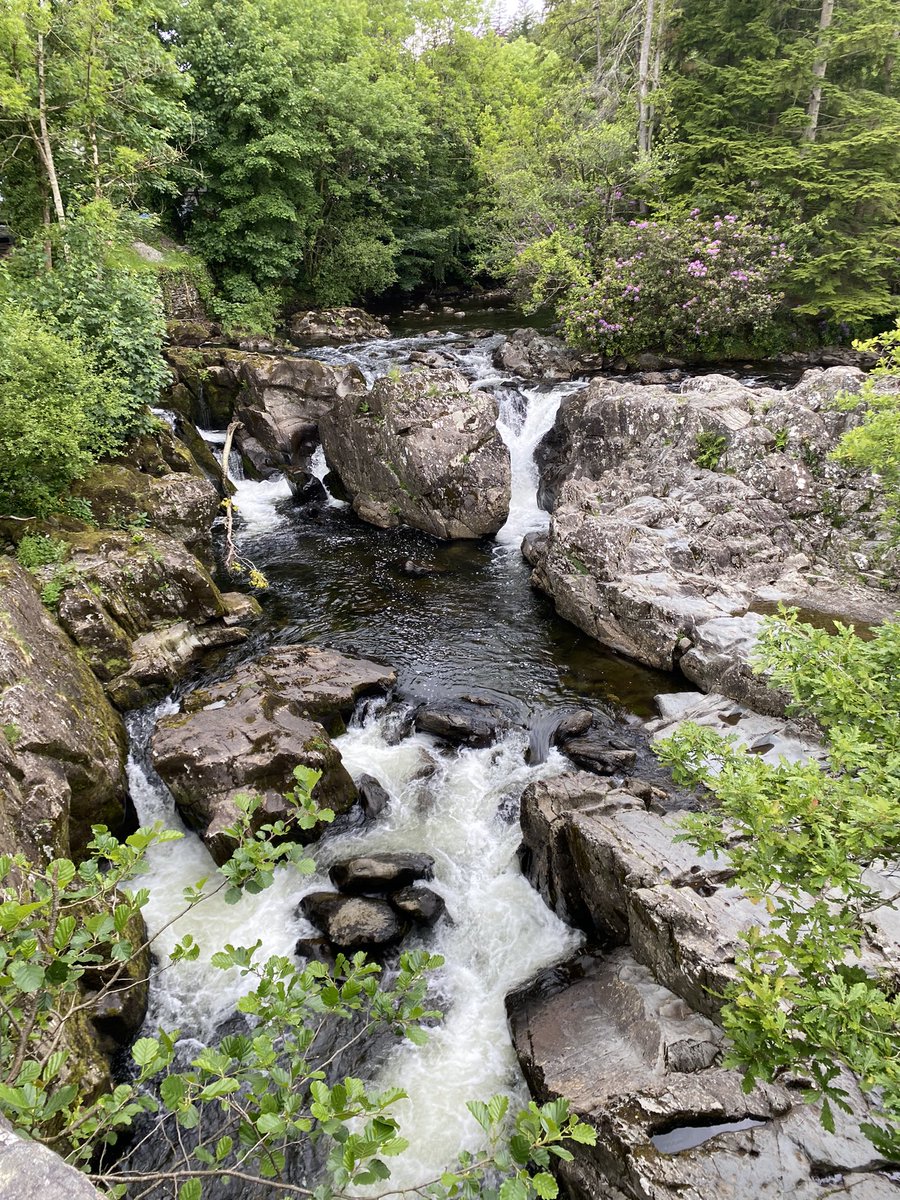 Kyle James tweet media