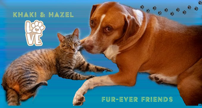 Check out my new NFT on OpenSea! https://t.co/oYnaqf3ilX via @opensea   #nft #opensea #blockchain #Ethereum<a href="/tag/graphicdesign"class="tags"><span>#graphicdesign</span></a><a href="/tag/blockchain"class="tags"><span>#blockchain</span></a><a href="/tag/ethereum"class="tags"><span>#ethereum</span></a><a href="/tag/nft"class="tags"><span>#nft</span></a><a href="/tag/op"class="tags"><span>#op</span></a>