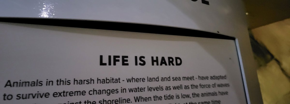 Loganocity730's tweet photo. Most relatable sign during yesterdays vist to the John Ball Zoo... #Zoo #GrandRapids https://t.co/K1Y7GftXVj