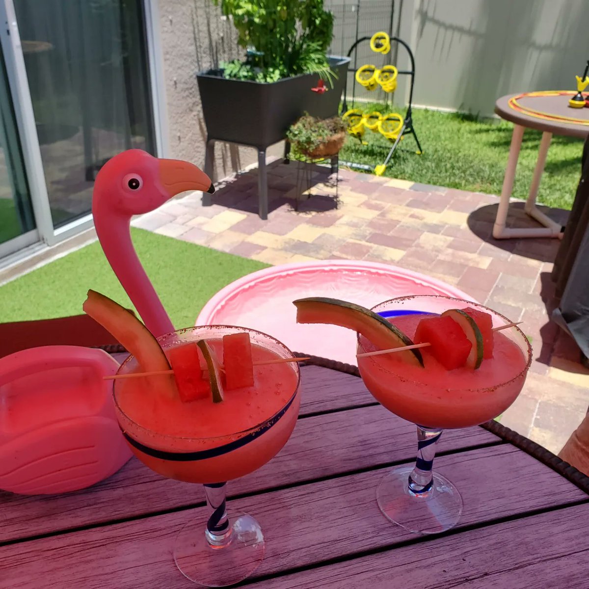 andi_daisy26's tweet photo. Watermelon Margaritas with a Tajin and Pink Himalayan Salt Rim #Summer #PuppyPool #FlamingoWateringCan #ManItsHotOutHere #SunnyFlorida☀️ https://t.co/SZrtbfldub