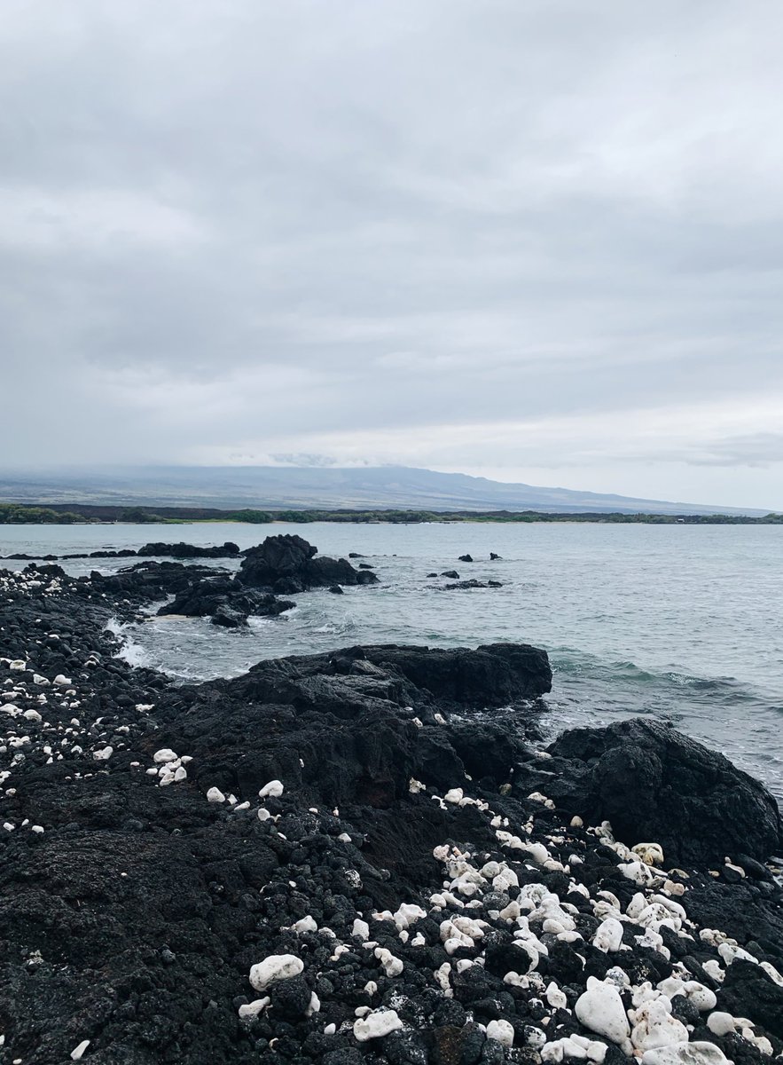 Had a fantastic time attending and presenting my #exerciseoncology master’s work at my first <a href="/NASPSPA/">NASPSPA</a> conference! Such a fun week of sun and science! 

Mahalo for having us, Hawaii 🌺🏝🌊