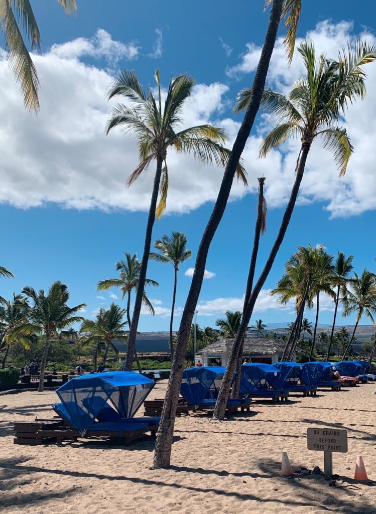 Sitara Sharma tweet media