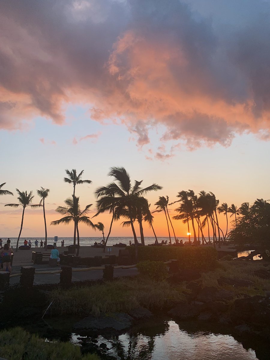 Sitara Sharma tweet media