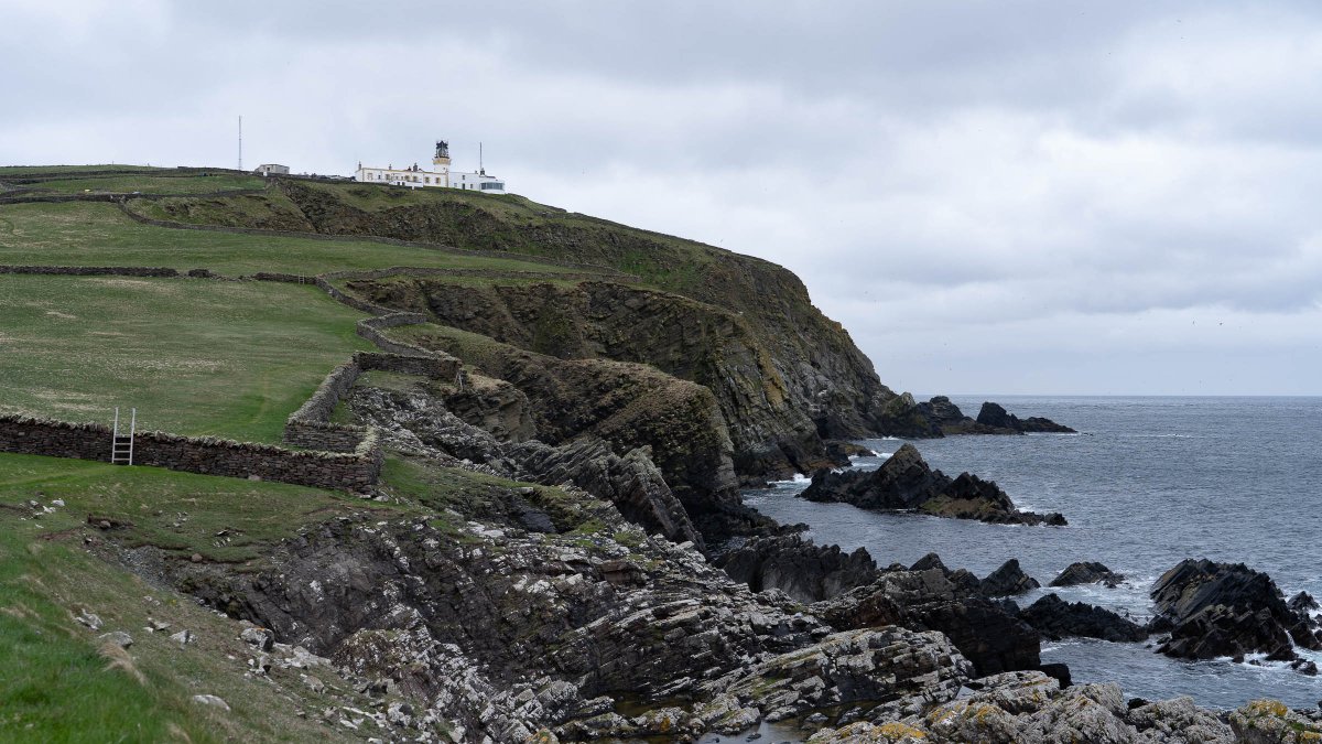 rossmackenzie's tweet photo. A 4-auk walk from the Jarlshof to @SumburghHead (lots of puffins, razorbills, guillemots and black guillemots) #Shetland #favouritewalk #NationalWalkingMonth https://t.co/3YgX5tAWIc