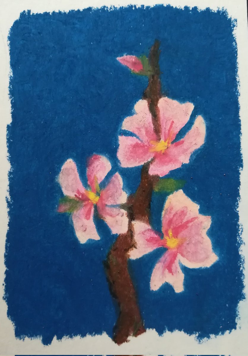 1novart's tweet photo. 220529
quick studies in oil pastel https://t.co/glnwAkaJl2
