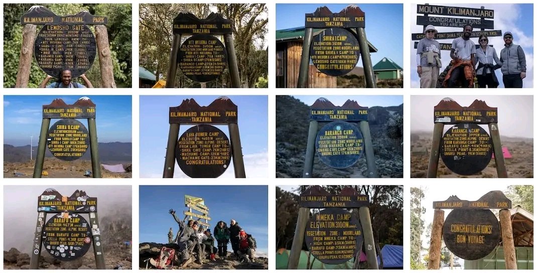 KapamaStima's tweet photo. Lemosho Route ,We did For 8days. Kilimanjaro Mt... https://t.co/JEJLxGHvAz