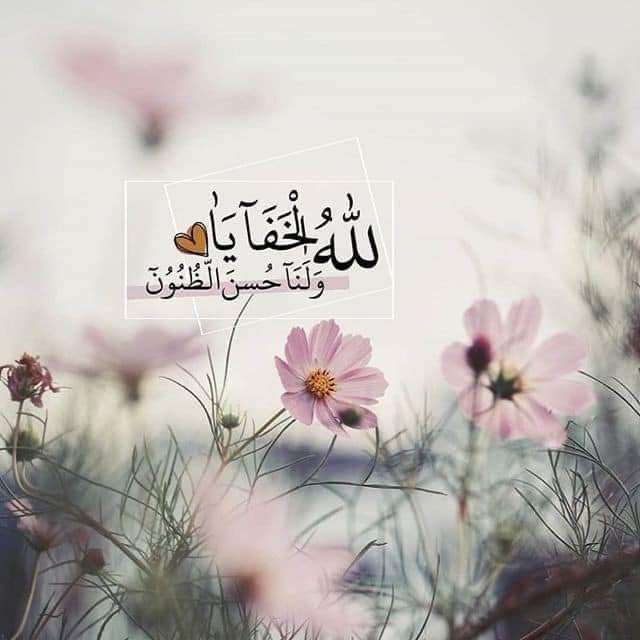 بدرية محمد tweet media