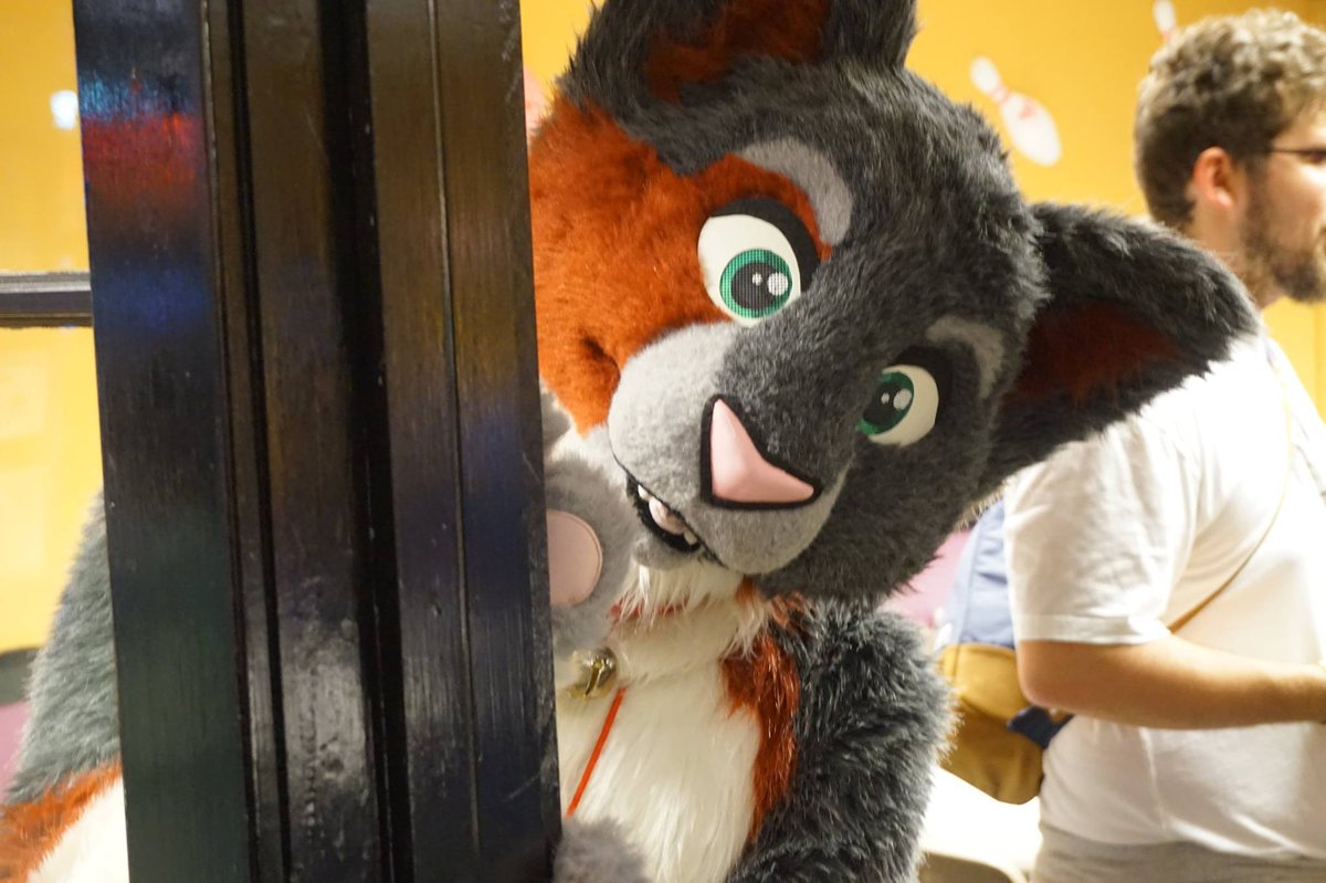 Kurdan_Sourpuss's tweet photo. Sometimes a hooman.
Sometimes a cat.
Sometimes a Spidey.
Sometimes a pup.
..ALWAYS a Sourpuss.😼
#FurryTwitter #furry #furries #FurryThings #Furries #OneOfUs https://t.co/OGCwLMLsby