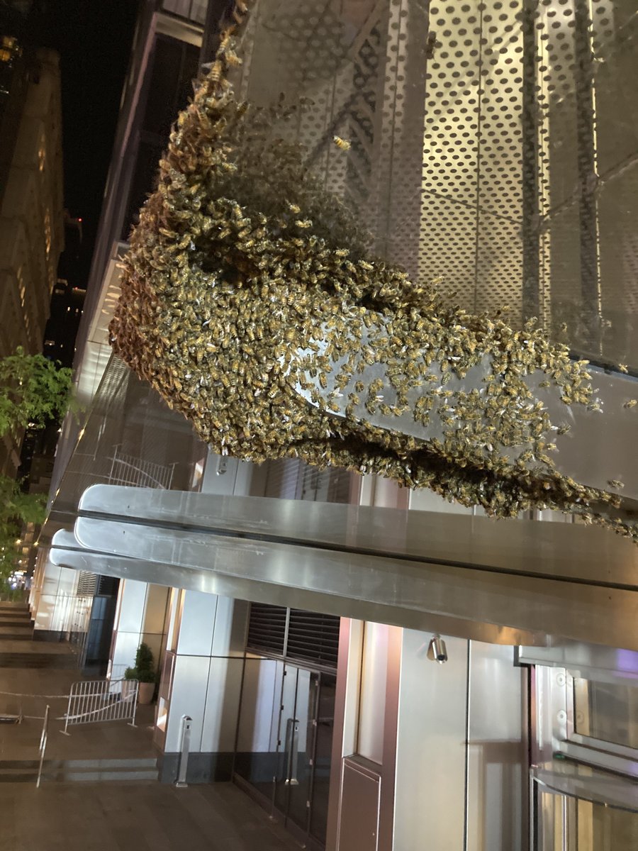 NYPD NEWS tweet media