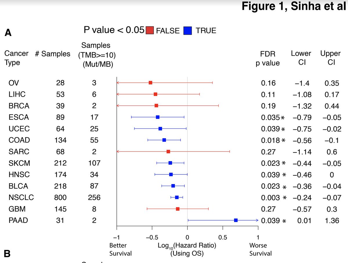 Why high tumor mutation burden is only predictive of immunotherapy response in some cancer types?

We answer this question in our latest publication below and are excited to share it here. A🧵of 🏄‍♀️ below.
aacrjournals.org/cancerres/arti…