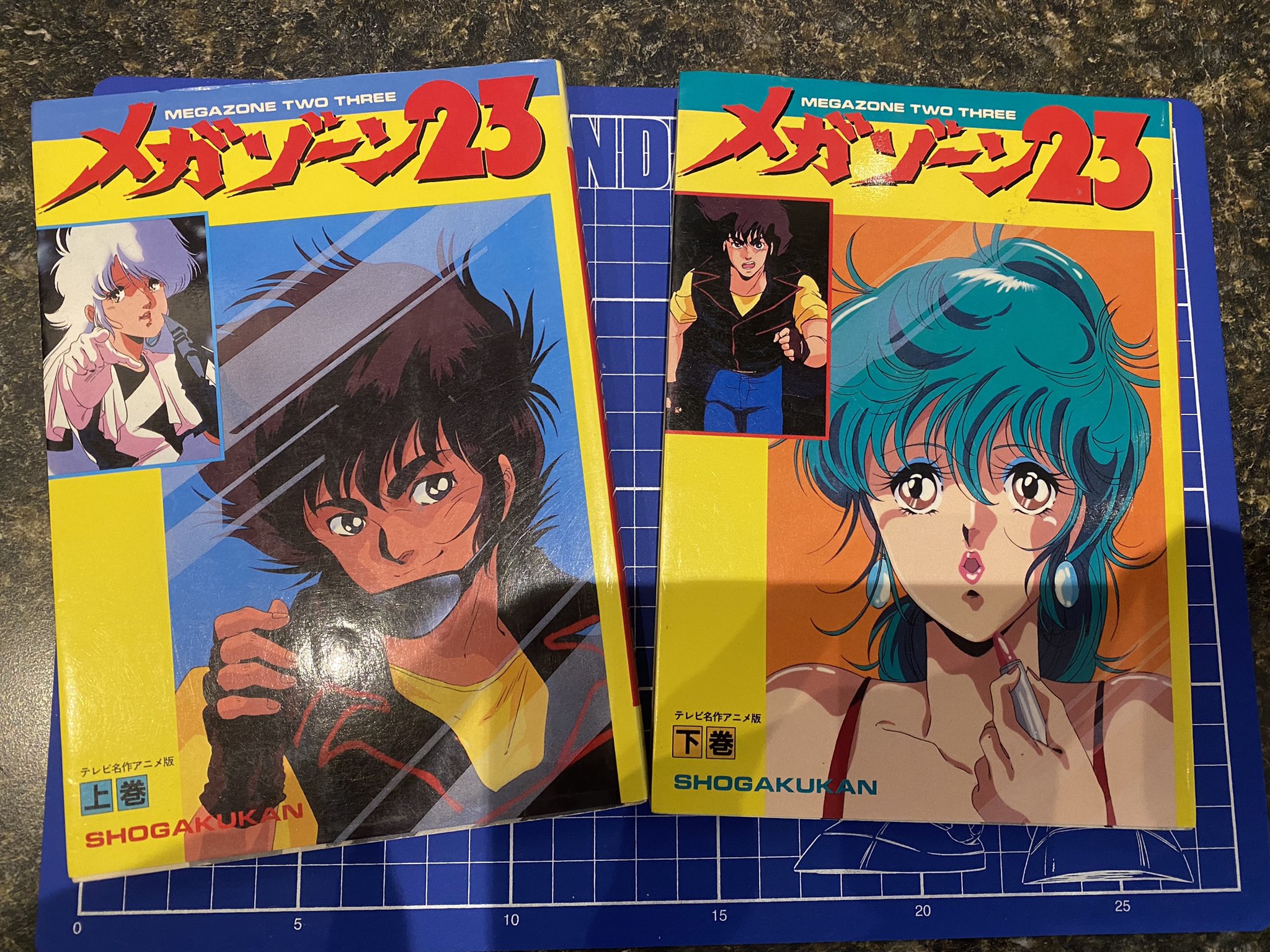 new zimmerit zine coming in 2024 on X: Megazone 23 film comic. Two  tankoubon sized books, covers the the first OVA. Relive the era when VHS  tapes cost $100. Set of two