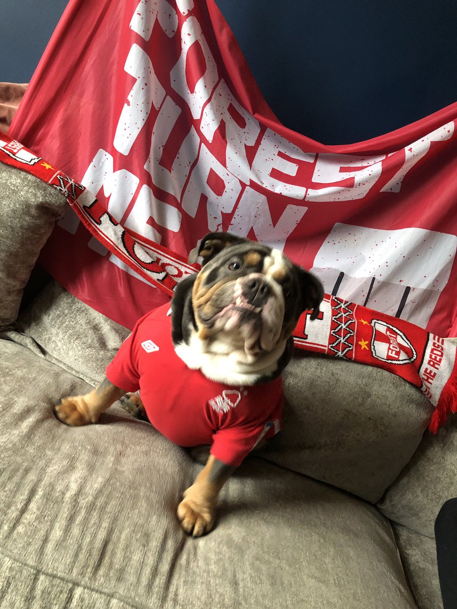 We. are. going up, we are going up  <a href="/NFFC/">Nottingham Forest</a>