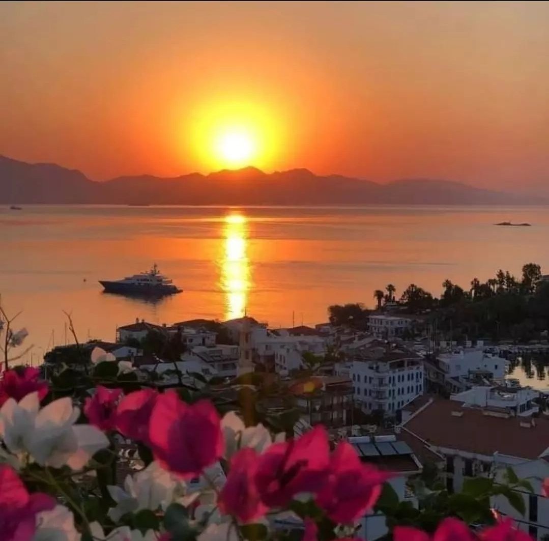 Vakti gelince gitmenin adıdır
#günbatımı ömürden, gönülden, günden. Can Yücel ✍
Huzur meskeniniz olsun olsun🍀
#hayırlıakşamlar