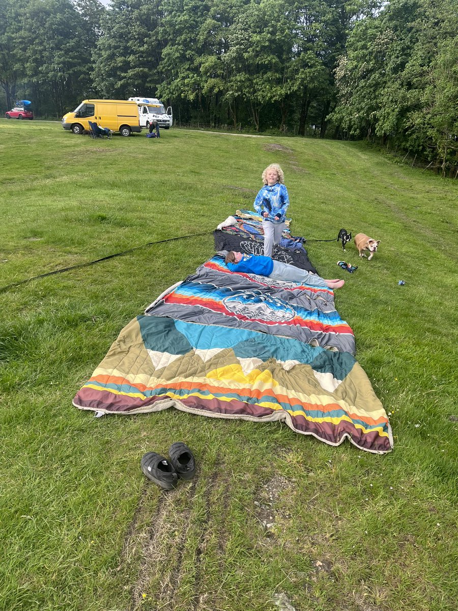 deb lowe tweet media