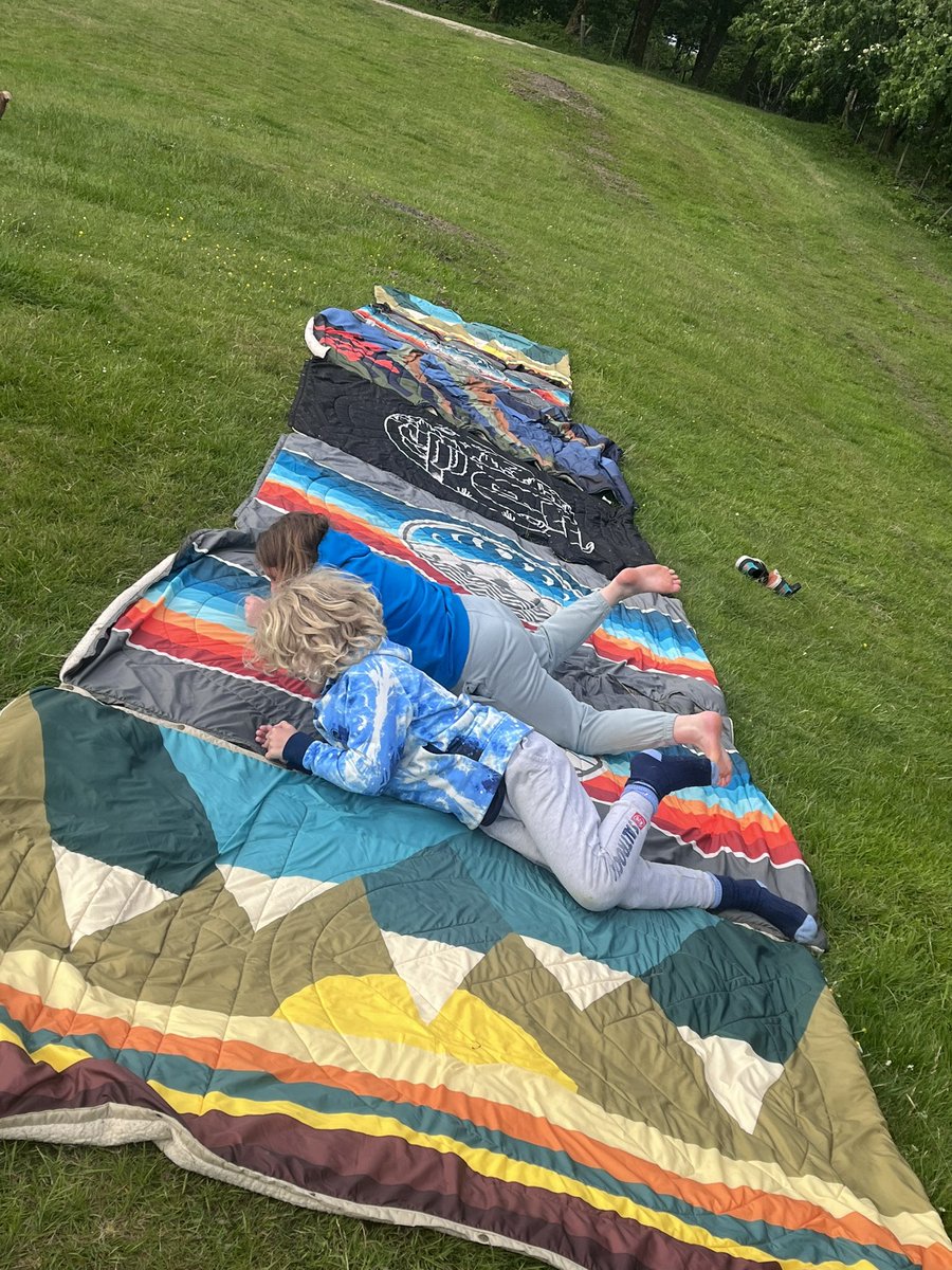 deb lowe tweet media