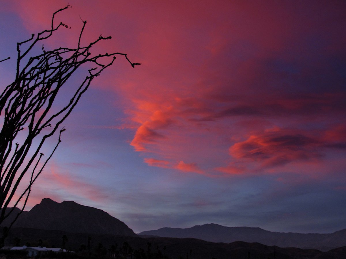 Looking towards the reserve last night (Photo: Sicco Rood).