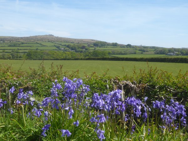 Devon &amp; Cornwall Twitter 
<a href="/Devon_Cornwall/">Devon & Cornwall</a>
#Devon #Cornwall