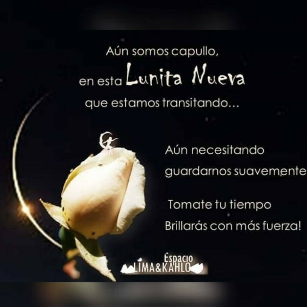 agartam's tweet photo. 🌑La Luna inicia una nueva fase, y es una nueva oportunidad para meternos hacia adentro y encontrarnos con nuestros sentimientos más genuinos.

🌱Sembrar nuestras intenciones y poner a resguardo nuestros más íntimos sentires.

🙏Que tengan un hermoso in… https://t.co/wZo7kLSbMW https://t.co/sC0BxJXnlT