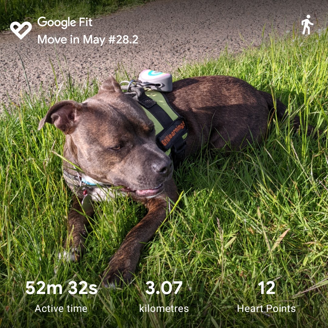 mbotreads's tweet photo. Catching up on a couple of days of trying to get moving again!
#MoveInMay2022 @BfN_UK https://t.co/DosJkqEg5o