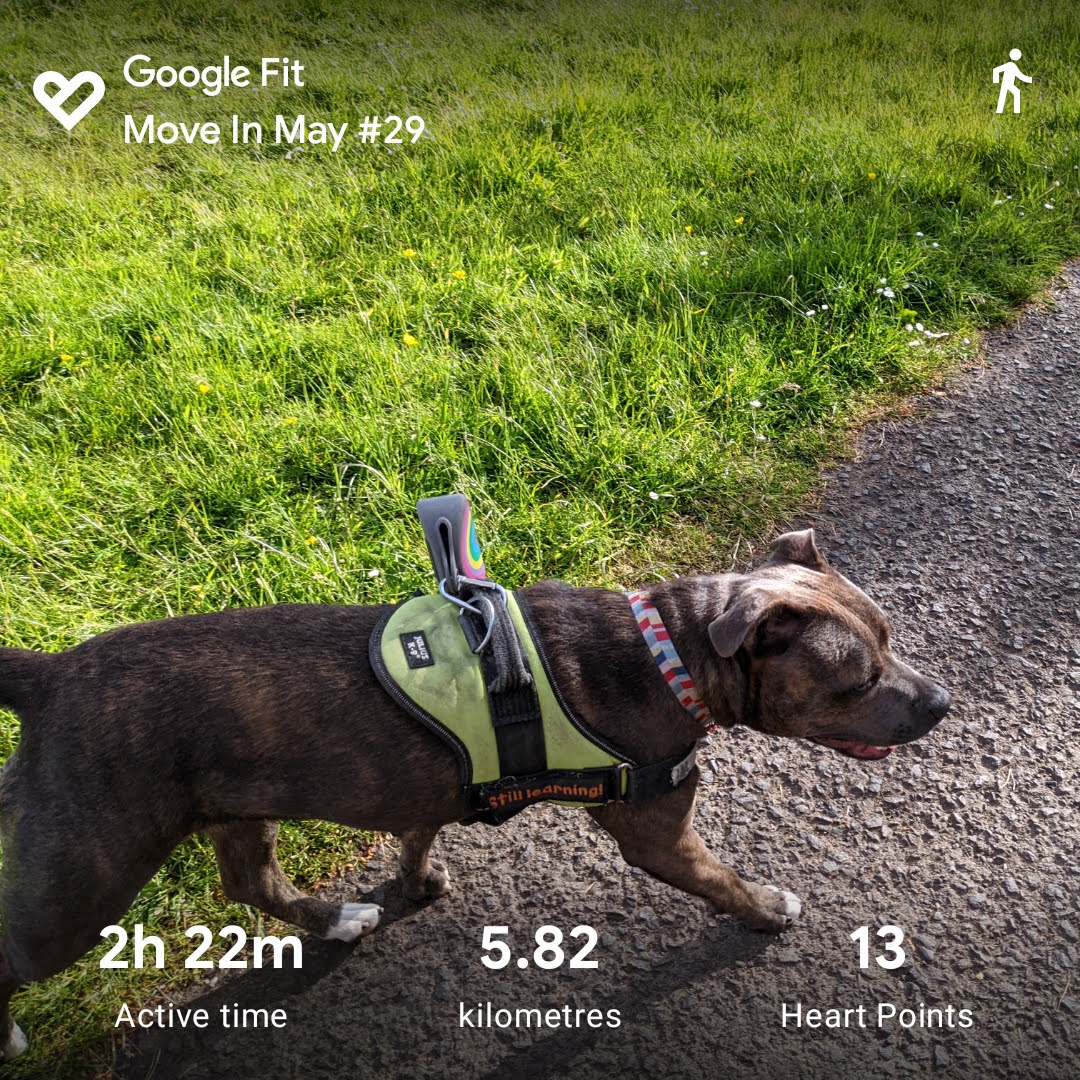 mbotreads's tweet photo. Catching up on a couple of days of trying to get moving again!
#MoveInMay2022 @BfN_UK https://t.co/DosJkqEg5o