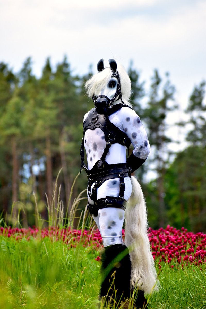 Beauty of a flowering field @BlackPorthos @AramisThePony #porthosstable #field #flower #ponyplay #leather #ponymask #horsemask #pferd #horse #nature