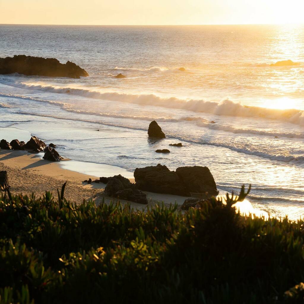 AngieMcMonigal's tweet photo. #naturesunday https://t.co/lvKZ4Vnmq0 https://t.co/LzqlMB4OLq