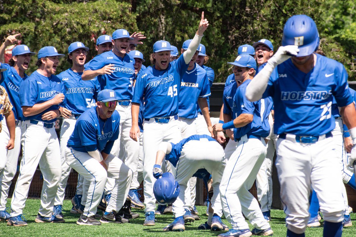 Hofstra Baseball tweet media