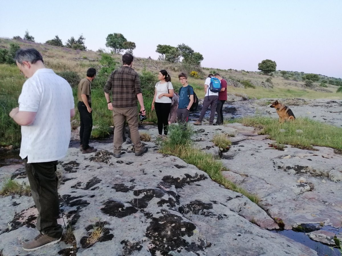 iberozoa's tweet photo. Algunas imágenes de las actividades de este finde: el jueves y el viernes impartimos un curso de #anfibios 🐸 con la Asociación Vida Silvestre Ibérica en su espacio apadrinado en El Cuadrón, como una de las medidas dentro del proyecto Libera de @SEO_BirdLife y @ecoembes https://t.co/WIfVzeBKjm