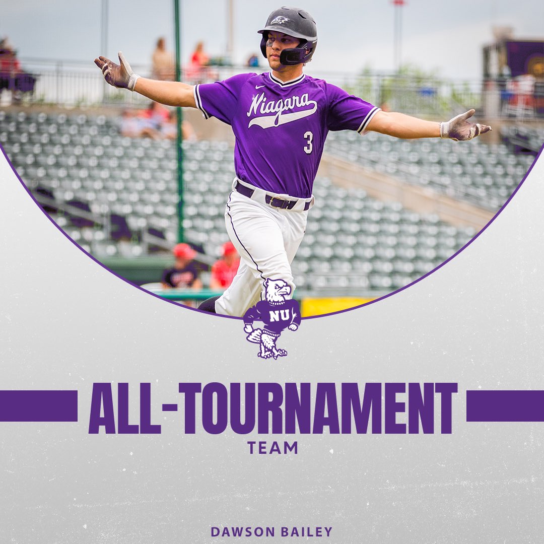 Niagara Baseball tweet media