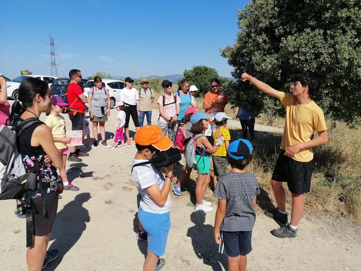iberozoa's tweet photo. Y hoy hemos realizado una ruta por Valdeloshielos, una zona natural muy valiosa de Tres Cantos. En este caso hemos dado a conocer a las familias las adaptaciones de la flora mediterránea, ¡junto con otras muchas otras especies! 🐍
@ayto3cantos @Iberozoajunior @juventud3c https://t.co/h7BzFSPrbn