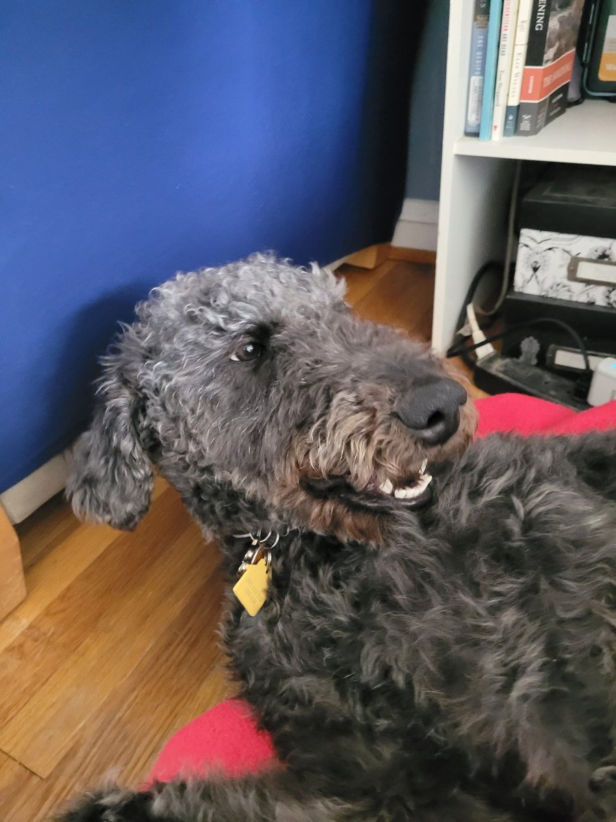 mariposafria⁷⊙⊝⊜「 -ㅅ-「 tweet media