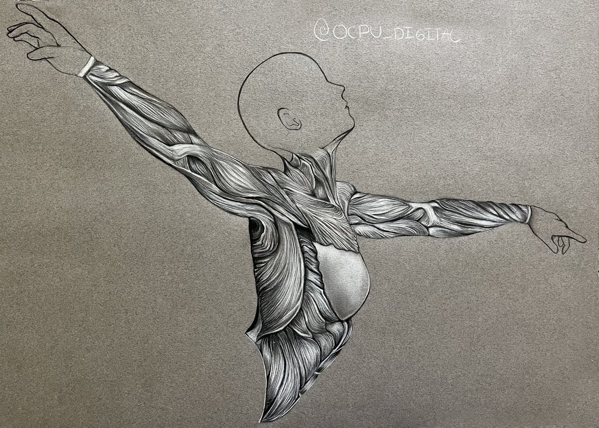 OcpuDigital's tweet photo. Dancing muscles 🔥🔥🔥
#animum3d

#art #illustration #artistsoninstagram #drawing #2d #fantasyart #anatomyforartists #anatomyart #anatomydrawing #conceptart #softpastel #conteaparis #rembrandtartistpaint https://t.co/5eTWKsNlSr